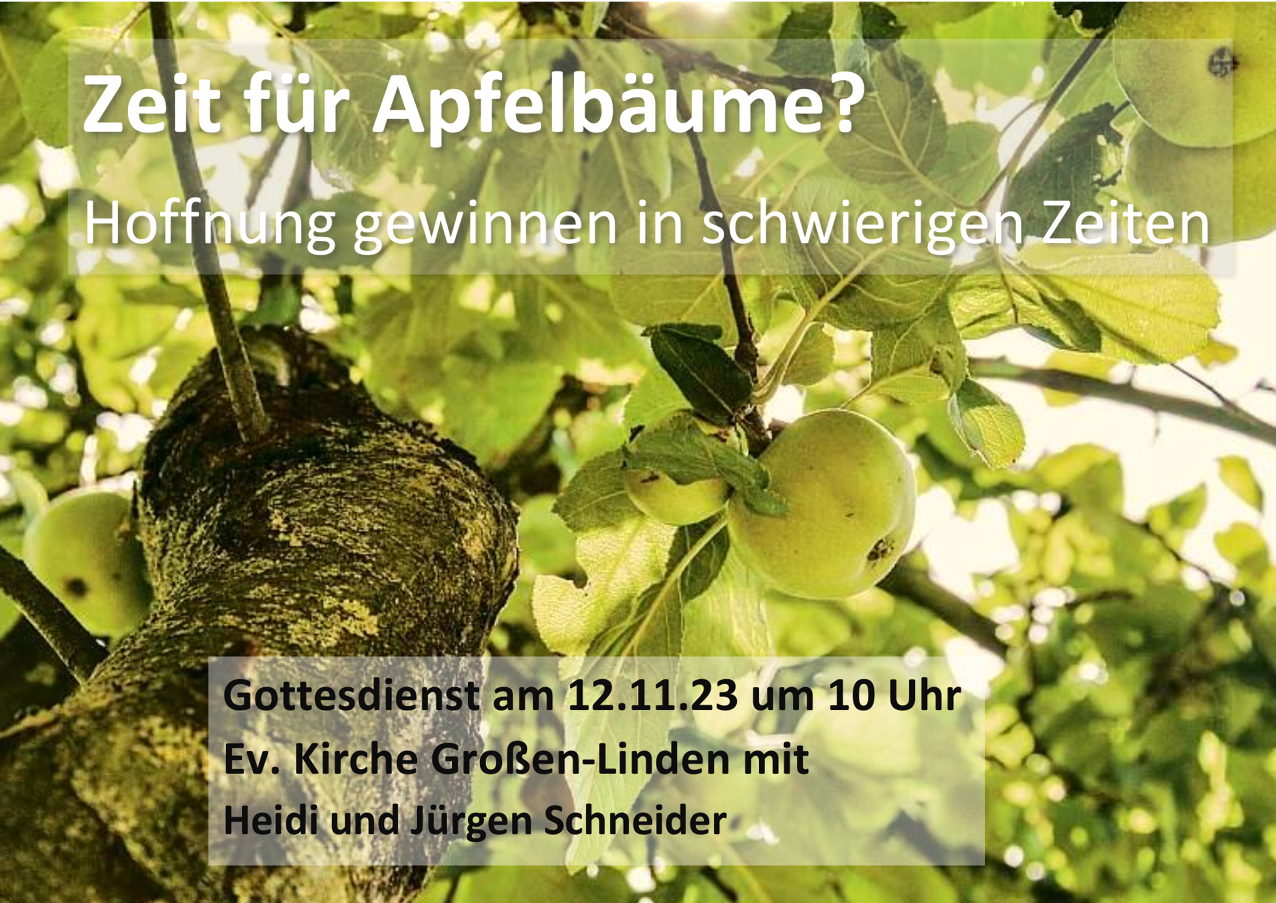 231112.Apfelbaum